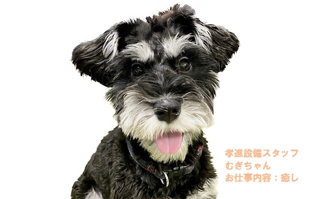 株式会社孝進設備
